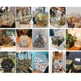 WANLIAN Gold Framed Coin Display Rack Coin Display Rack Wall + Iron Frame Coin Collector Rack Currency Dollar Collector Rack for Collectors Glass Coin Safe (Hexagonal)