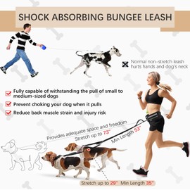 Heellpxi Retractable Hands Free Dog Leash with Dual Bungees for 2 Dogs, Adjustable Waist Belt Fanny Pack, Reflective Stitching Leash for Running Walking Hiking Jogging Biking Gery