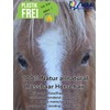 Maaj Edge Broom Narrow Horsehair Joint Broom Garden Broom Tile