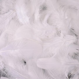 whitefeather White Craft Rooster Feathers 900pcs 3-5inch Colored Bulk Feathers Natural Feathers for Crafting Kindergarten DIY Crafts,Home Wedding Party Decoration,Dream Catcher Supplies