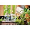 Aquanique FP i indoor fountain pump 1.5 m cable