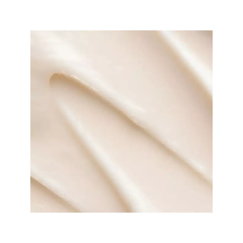 네세서리 넥크림 50ml Necessity Neck Cream 50ml
