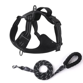 No-Pull Dog Harness and Leash Set,5ft Dog Leash, Adjustable Soft Padded Dog Vest, Reflective No-Choke Pet Oxford Vest with Easy Control Handle for Small and Large Dogs (Black-L with Leash)