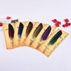 Gullor Calligraphy Feather Quill Pen and 5 Calligraphy Nibs for