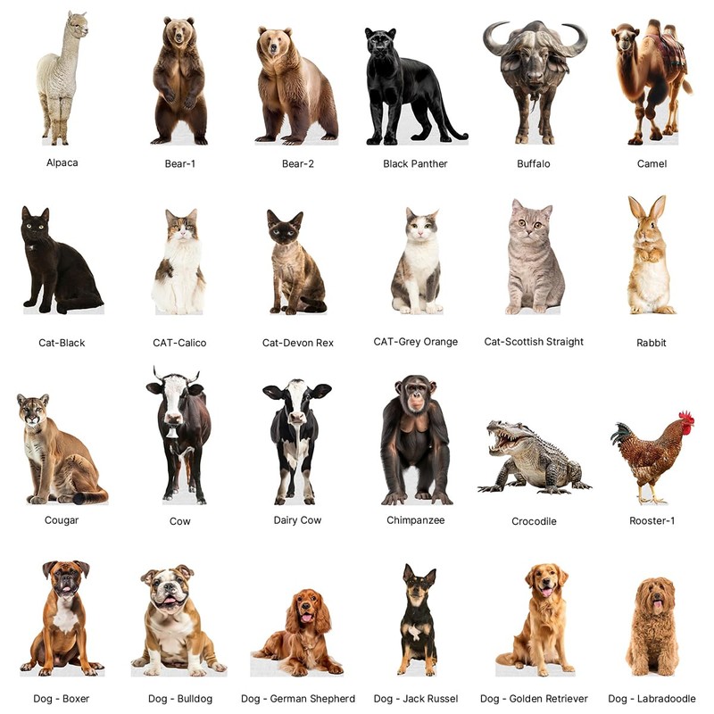 Elephant - Life Size Cardboard Cutout Standup People with Support