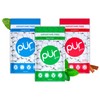 PUR Gum | Aspartame Free Chewing Gum | 100% Xylitol