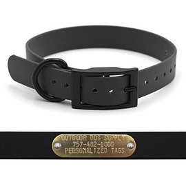 SoftFlex 1" D Ring Black Hardware Dog Collar with Custom Brass Name Plate Tag (18", Black Licorice)