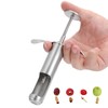 Fruit Core Remover Tool Jujube Corer Cherry Pitter Stainless Steel