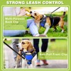 WINSEE Dog Harness No Pull, Pet Harnesses with Dog Collar,