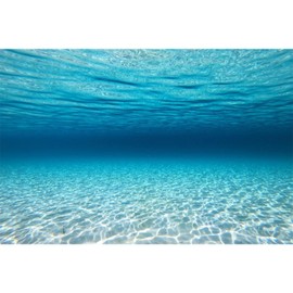 MIRRORANG 91x50cm Undersea Theme Aquarium Background Blue Ocean Underwater World Fish Tank Background Aquarium Backgrounds Backdrop