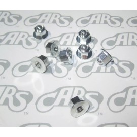 CARS 1963 1964 1965 Buick Riviera Door Skin Mounting Nuts | OEM #4404912