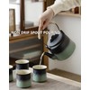 ZENS Vintage Japanese Tea Set with 4 Tea Cups, 33.8