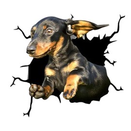 fabisup Dachshund Cracked Car Sticker, Dogs 3D Car Window Clings, Waterproof Funny Toilet Sticker Fridge Sticker