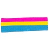 Pansexual Pride Knit Sweatband Headband
