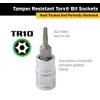 Titan 66810 1/4-Inch Drive x TR10 Tamper Resistant Torx Bit