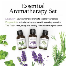 Puressence Oil Set, Blends for Diffusers, 100% Pure Essential Oils, Aromatherapy Oil Fragrances, Essential Oils for Skin, Lavender, Tea Tree and Peppermint, 3 Fl Oz, 3 Pack