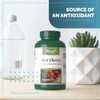 VORST Tart Cherry 10,000mg Raw Equivalent Per Serving | 3