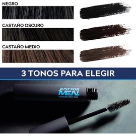 Just For Men Retoque Instantáneo de Canas y Cejas Negro