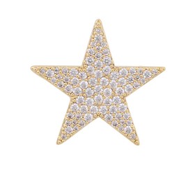 Shining Cubic Zircon Star Brooch Pins Elegant Clear Crystal Flower Lapel Pin Breastpin Badges for Women Men (Gold Crystal Star)