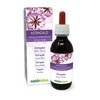 Naturalma Astragalus (Astragalus membranaceus) Roots Alcohol-Free Mother Tincture Naturalma -