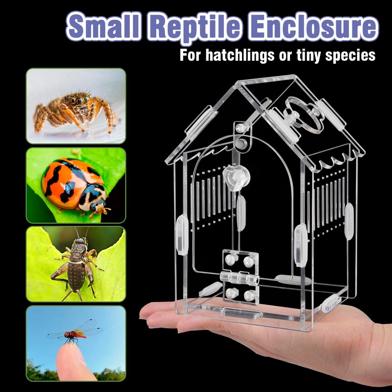 Jumping Spider Enclosure Kit Acrylic Terrarium for Tarantulas, Reptiles &