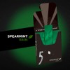 5 Rain Spearmint Sugarfree Gum, 6 Value Packs (36 packs