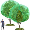 Fanfanwin 2 Packs 10 x 10 ft Large Fruit Tree