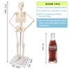 NEW HORIZON 17.7“ High Scientific Human Skeleton Model for Anatomy,Anatomy
