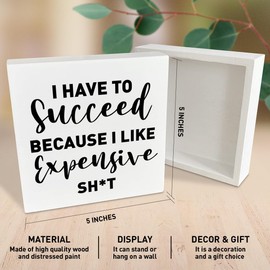 Funny Office Desk Wooden Box Sign Decor, Inspirational Home Office Decorations for Work, Motivation Office Desk Accessory, Coworker Gifts for Women Men Colleague, I Have to Succeed