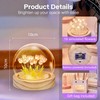 LED Tulip Night Light 16 Flowers in Glass Dome with