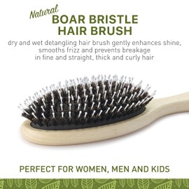 Natural Boar Bristle Hair Brush for Women, Men, Kids; Dry and Wet Detangling Hair Brush Gently Enhances Shine, Smooths Frizz and Prevents Breakage in Fine and Straight, Thick and Curly Hair (oval)
