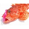 YAMASHITA Octopus Bait LP Octopus Aurora No. 3.5 4.1 inches