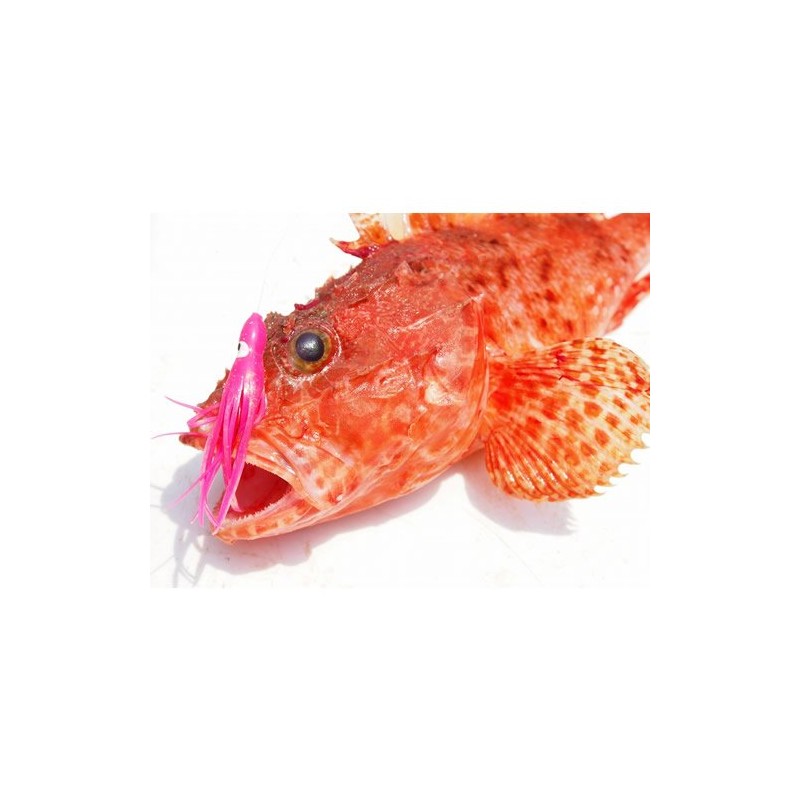 YAMASHITA Octopus Bait LP Octopus Aurora No. 3.5 4.1 inches