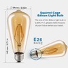 LUXON LED Edison Bulbs,Dimmable,4Watt(Equivalent 40W),2700K Warm White,ST64 Amber Glass Antique