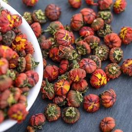 snow chrysanthemum fetus chrysanthemum tea 1.76 oz Alpine snow Chrysanthemum-Herbal tea-Chrysanthemum Tea 雪菊胎菊茶 50g