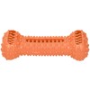 TPR Dog Teeth Cleaning Chew Toy Food Dispenser Brushing Stick