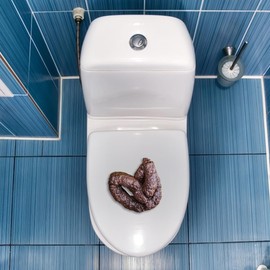 Fake Dog Poop | Realistic Human Poo Prank | Fake Cat Poop | Novelty Dog Doo Poo | Animal Poop Joke | Turd Gag Gift | Chunky Rubber Poop Joke Trick | Funny Office Prank | Brown | Rubber | 4"