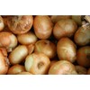 Generic Fresh Sweet Vidalia Onions, USA Grown, NON-GMO, Bulk (1