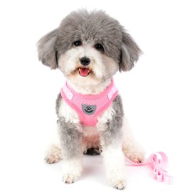 Zunea Dog Harness for Small Sized Dogs No Pull Puppy Harness and Leash Set Adjustable Reflective Step-in Vest Harness Soft Mesh Escape Proof Cat Harness for Walking, for Girl Boy Pet Kittens Pink M