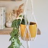 Piglet&Chestnut DIY Macrame Plant Hanger Kit (Natural)