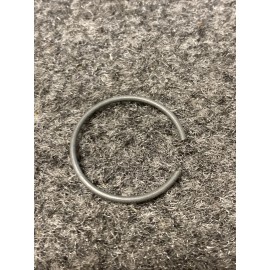 Eska 510244 Tecumseh Spring, Crankshaft Seal Retainer Eska Gamefisher