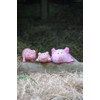 Petface Latex Oink Oink Pig Soft Chew Dog Toy