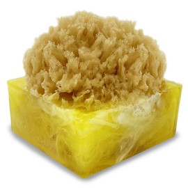 Primal Elements Tahitian Vanilla SpongeBar Soap (Pack of 2)