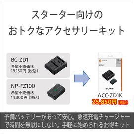 Sony ACC-ZD1K Accessory Kit (BC-ZD1+NP-FZ100)