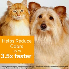 Honeywell Air Purifier Filter for Pet Odor – Filter S for HPA3000 PowerPlus and HPA5000 Insight Series, HRFSP1