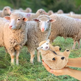 AGRIMONY Cute Shaved Sheep Stuffed Animals,Small Plushies Kawaii Lamb Plush Toys, Easter Valentines Mothers Day Birthday Christmas Funny Gifts Sheep Decor for Kids Girls Boys Teens Women