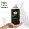 Shampoo De Órgano & Nogal Oscurecedor Natural Productos Mart Mexico