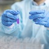 50 Pack Plastic Test Tubes,Plastic Sample Test Tubes Gift Tubes