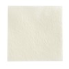 DermaRite's DermaGinate, Calcium Alginate Wound Care Dressing - Sterile, Highly