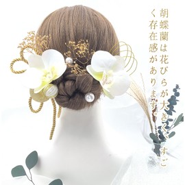 JZOON X1107 Coming-of-Age Ceremony, Hair Ornament, Phalaenopsis Orchid, Dried Flowers, Dahlia, Phalaenopsis Hydrangea, Japanese Ball, White, White, Mizuhiki, Shichi-Go-San Yukata, Hakama, Kimono,